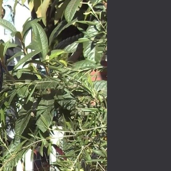 Behind-the-scenes cut of Park Seoham