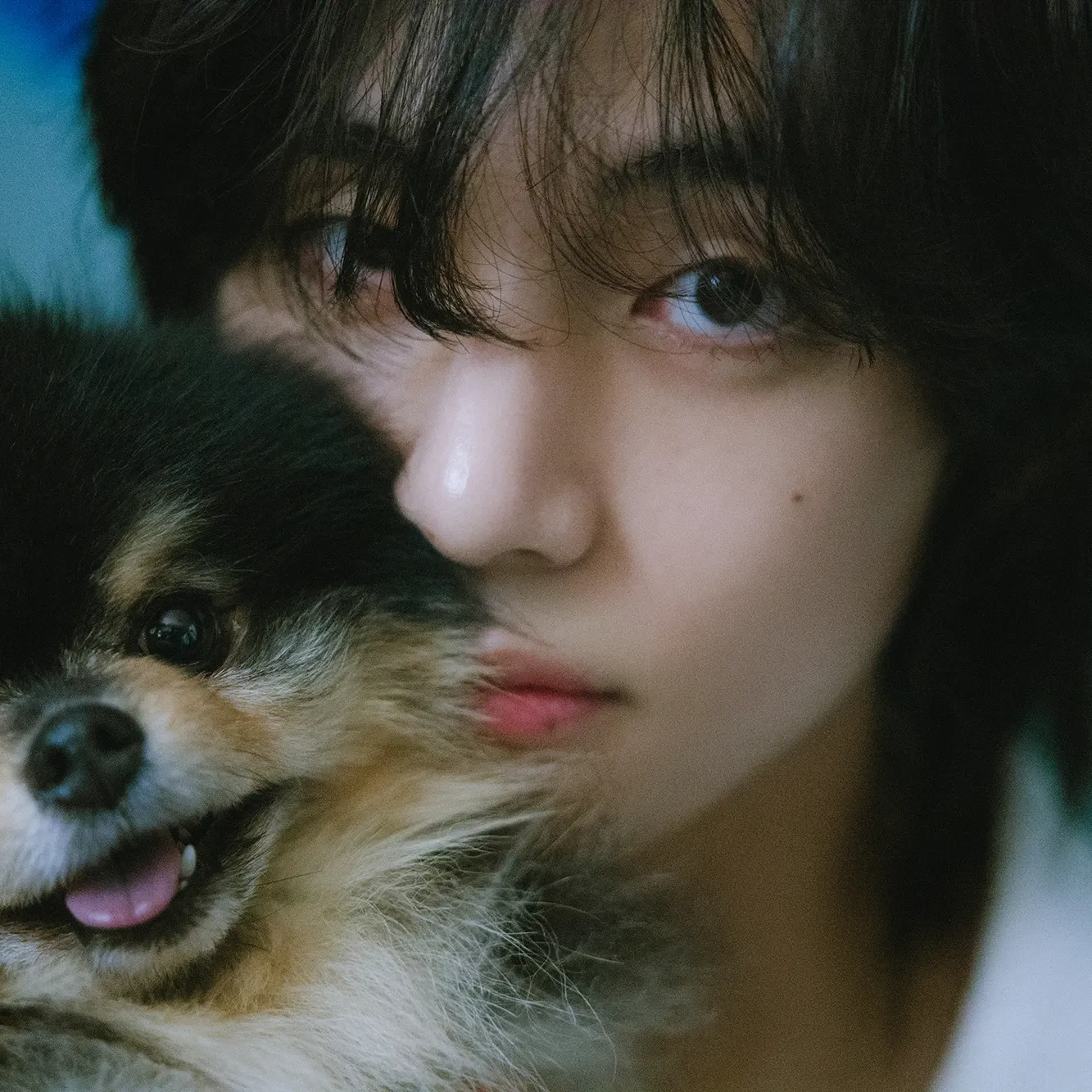 A moment captured by a fan of Kim Taehyung (V)