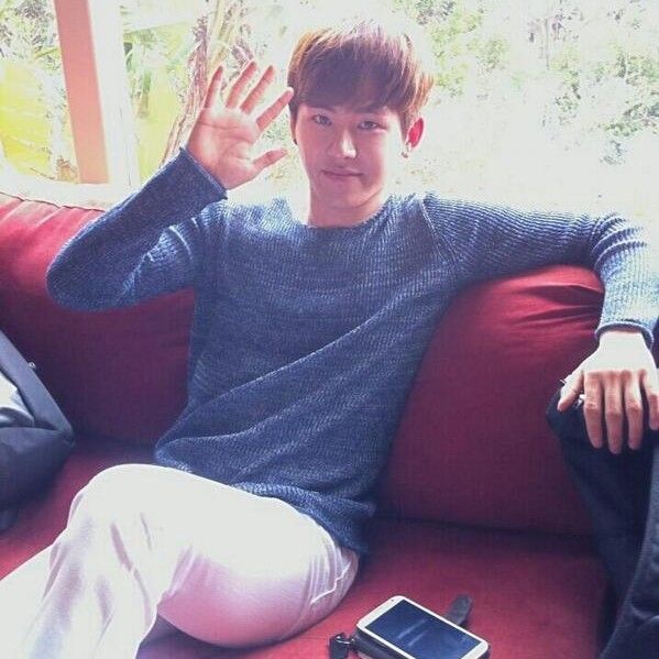 A moment captured by a fan of Hoya