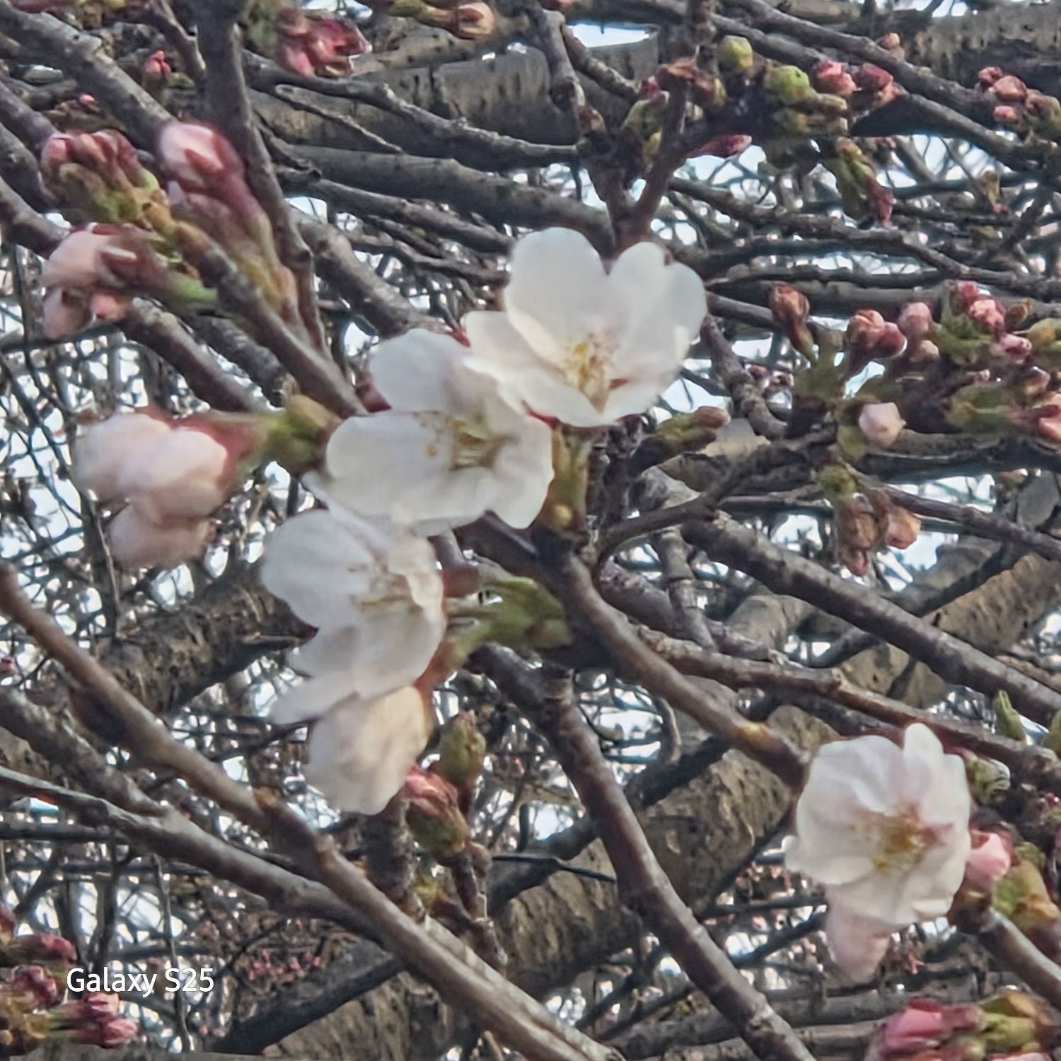 張民好的最新照片