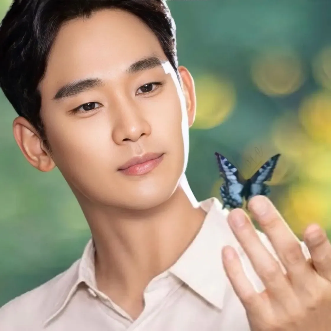 A moment captured by a fan of Kim Soohyun
