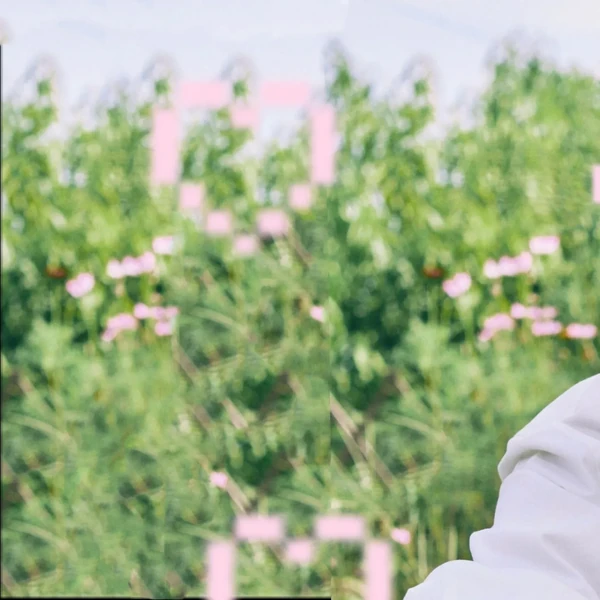 Popular profile photo of Dylan Wang loved by fans