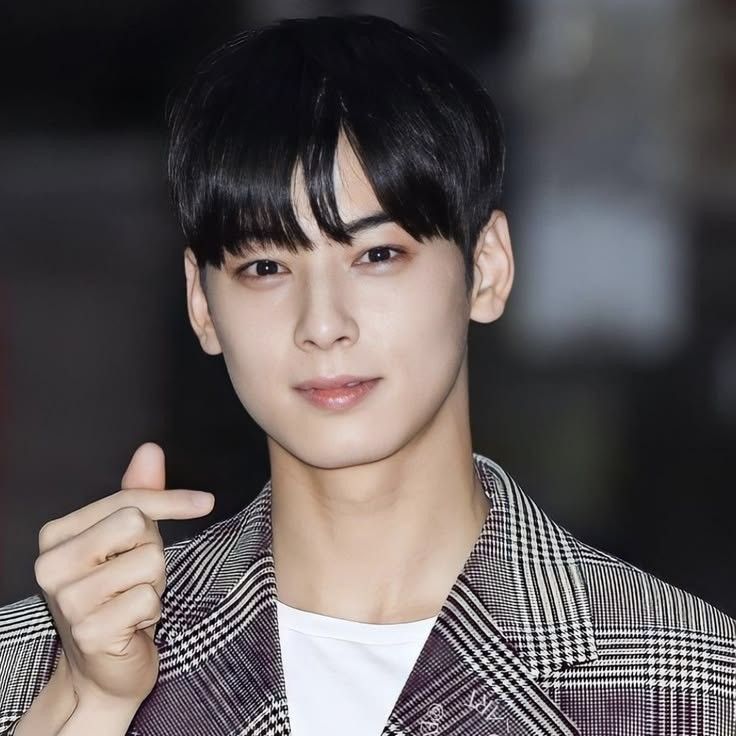 粉絲拍下的車銀優瞬間