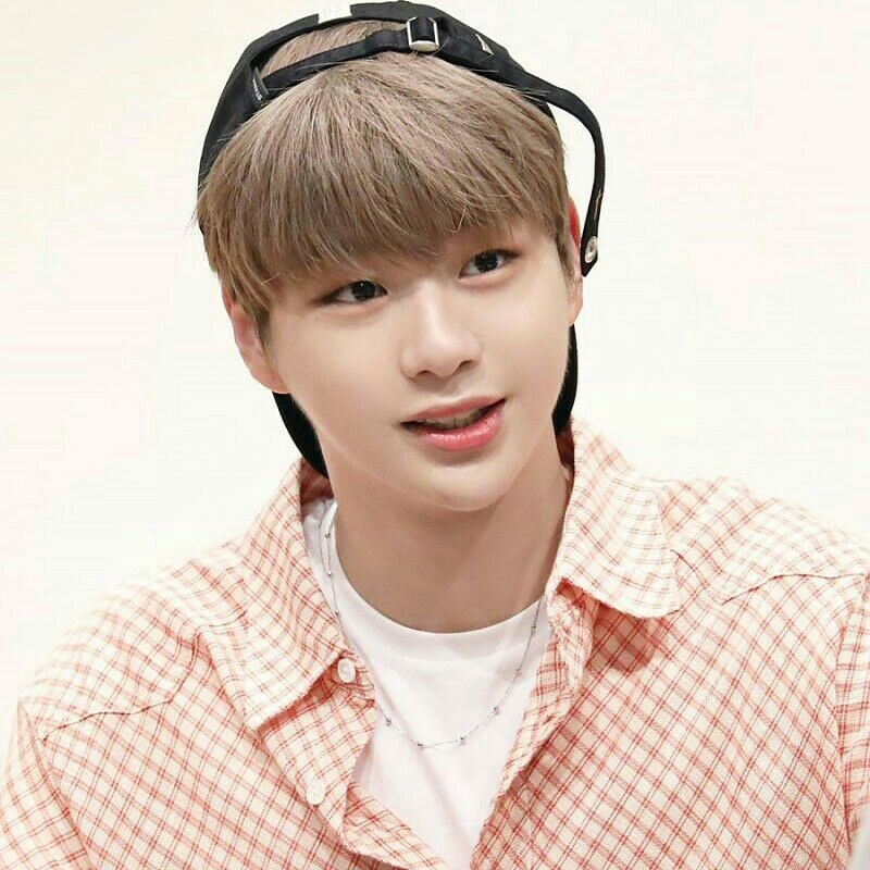 Recent activity shot of Secret Garden