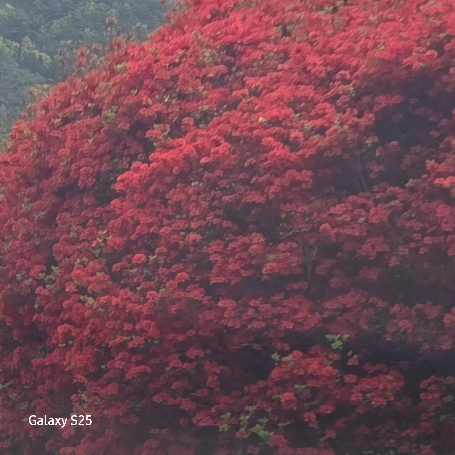 張民好的幕後花絮