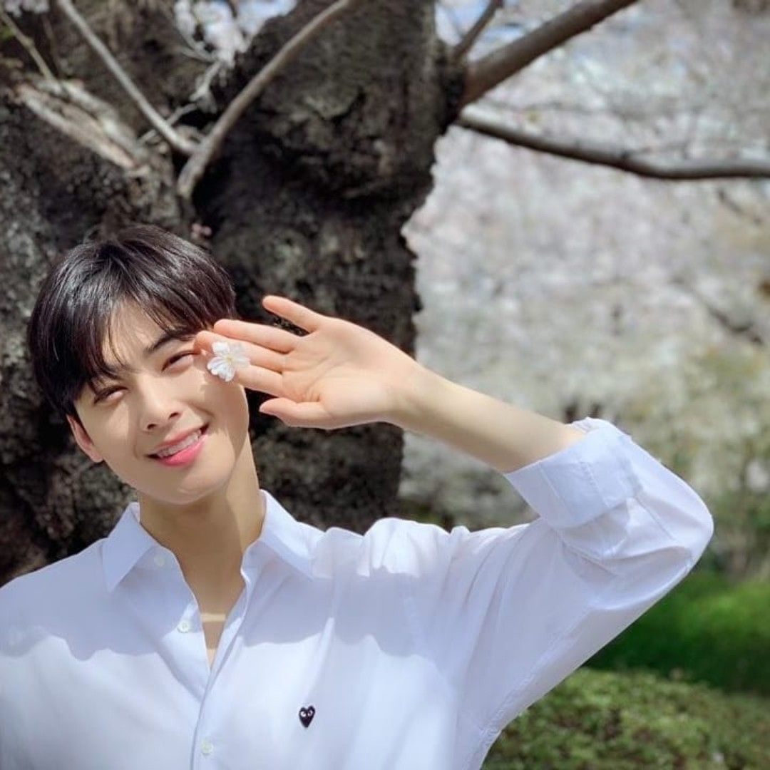 Latest photo of Cha Eunwoo