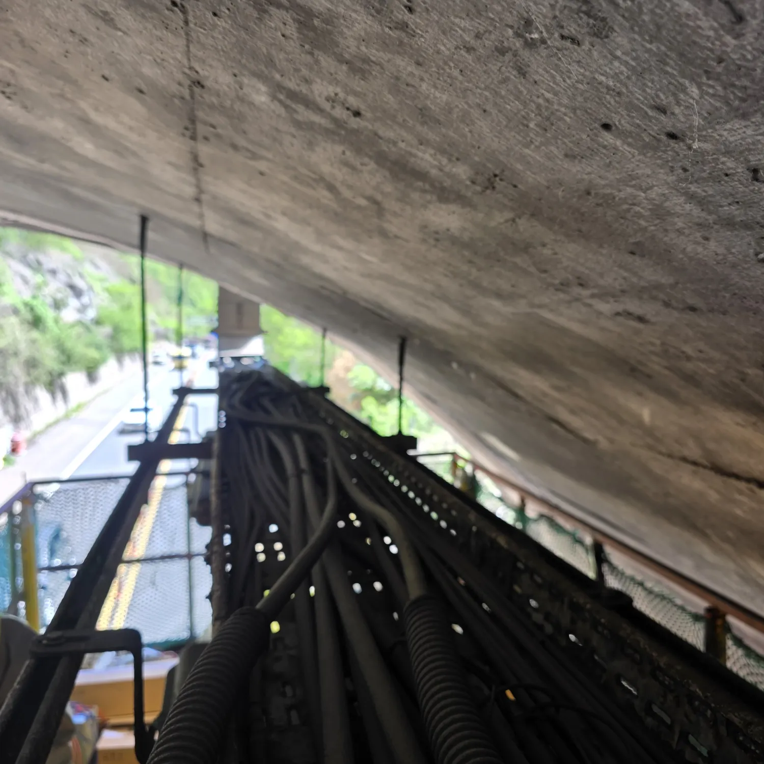 이찬원의 최신 사진