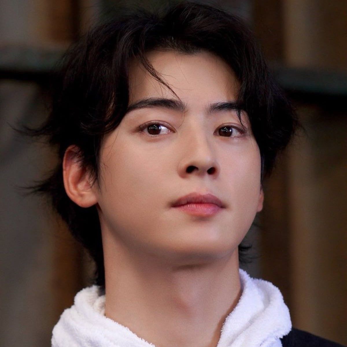 Recent activity shot of Cha Eunwoo