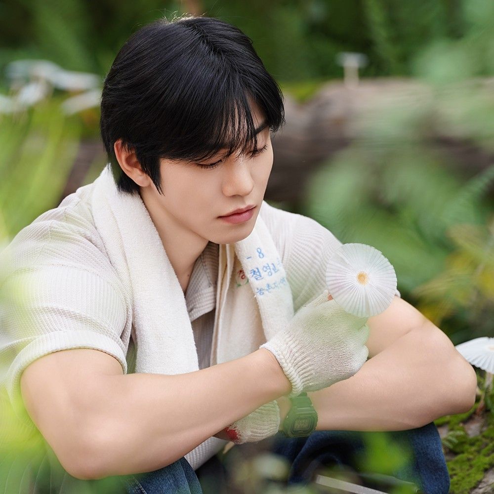 安孝燮的最新照片