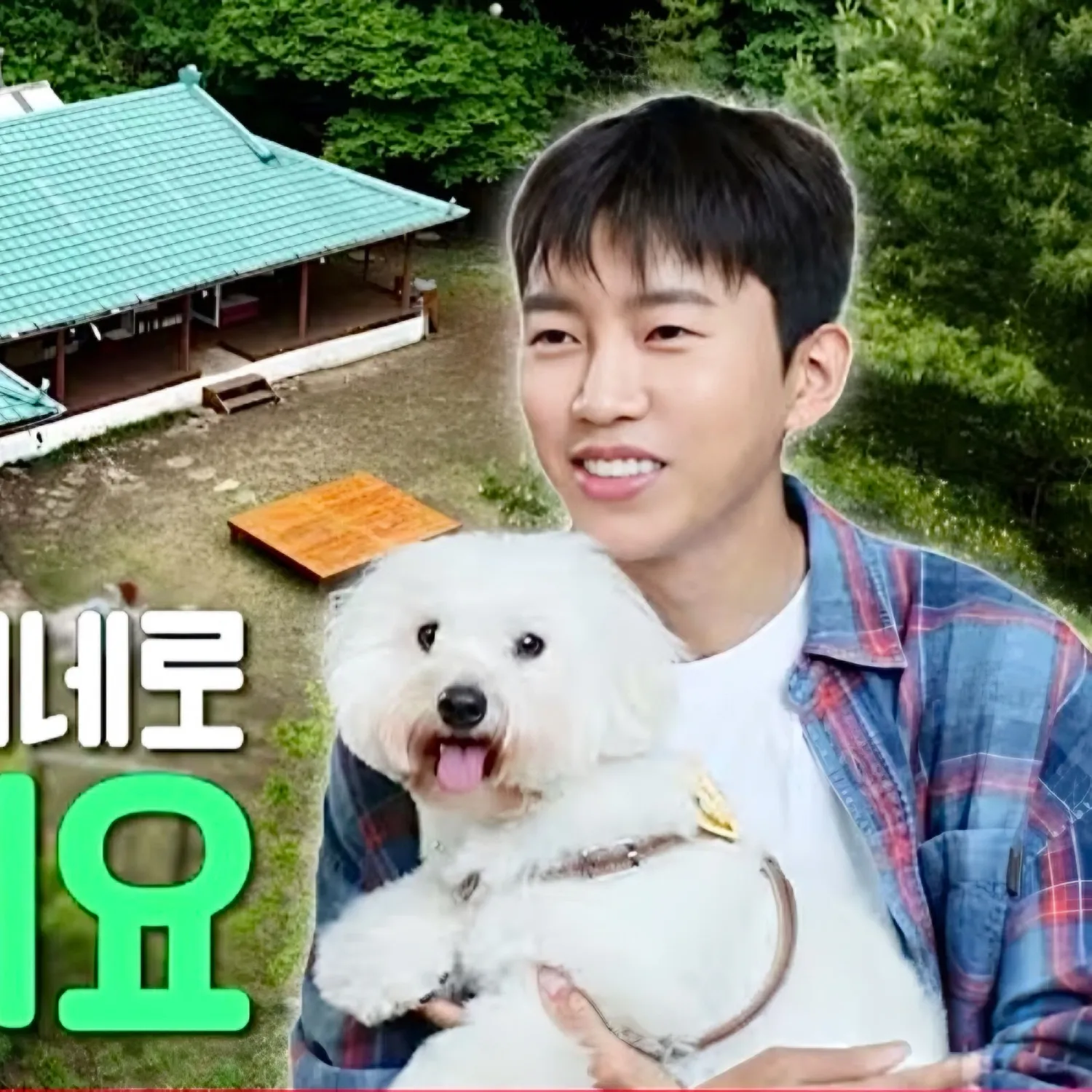 Momen yang diabadikan oleh penggemar Lim Youngwoong