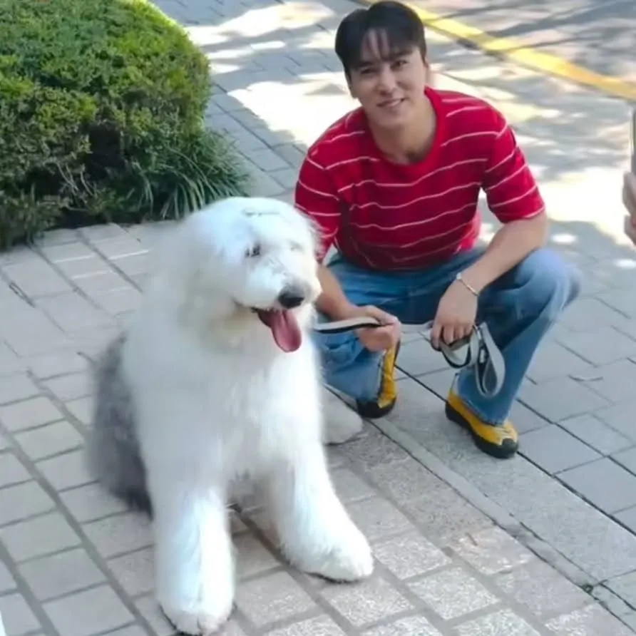 Cuplikan di balik layar dari Jang Minho