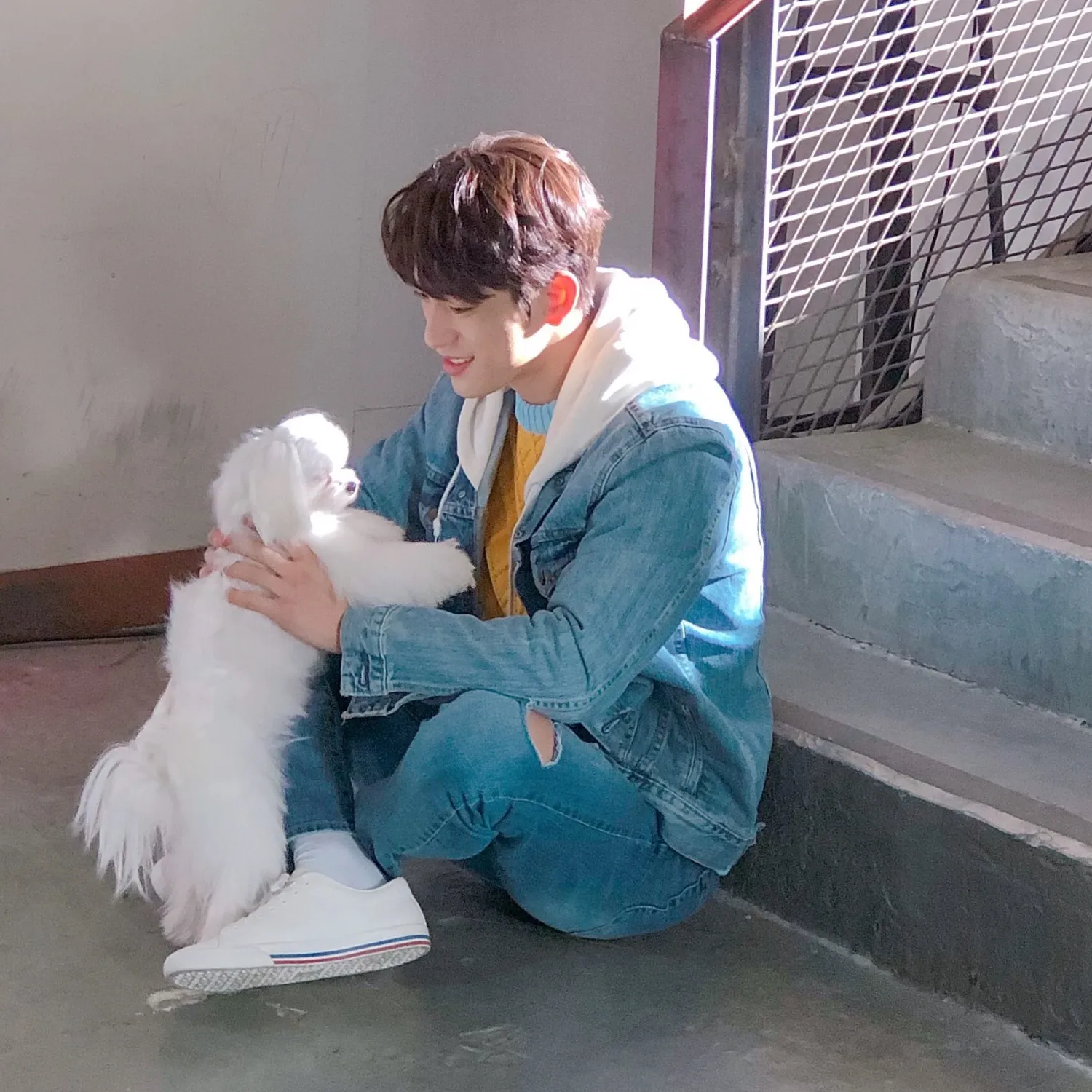 朴珍荣的近期活动照