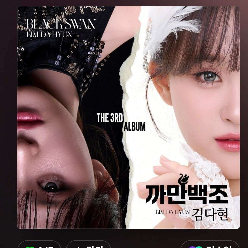 金多贤的近期活动照