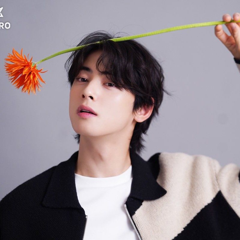 車銀優的近期活動照