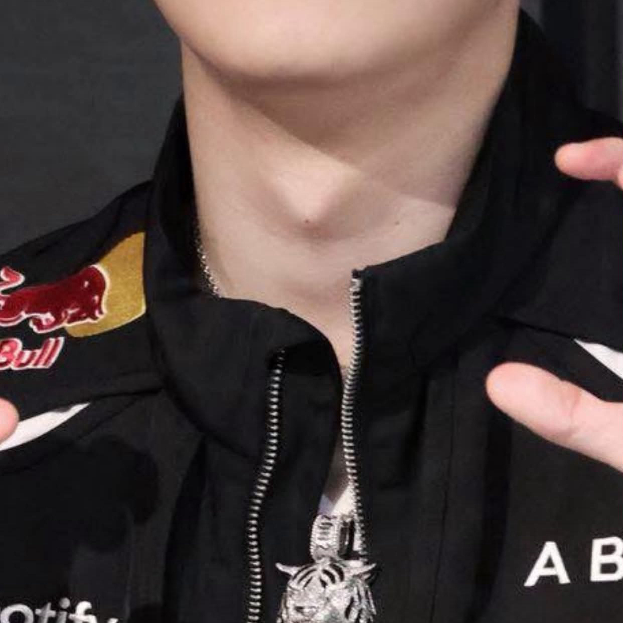 A moment captured by a fan of Oner