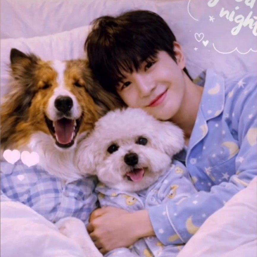 鄭東元的最新照片