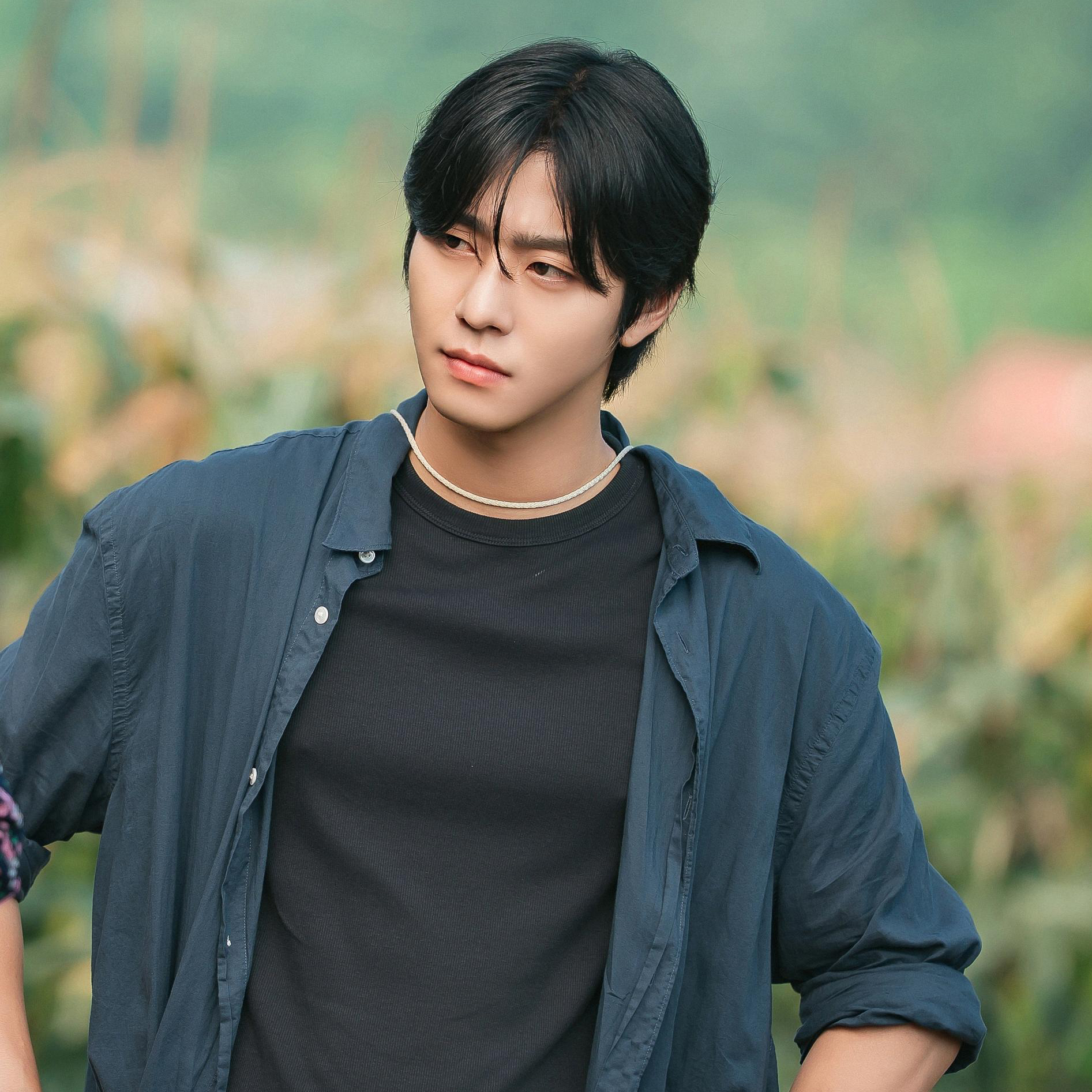 安孝燮的最新照片