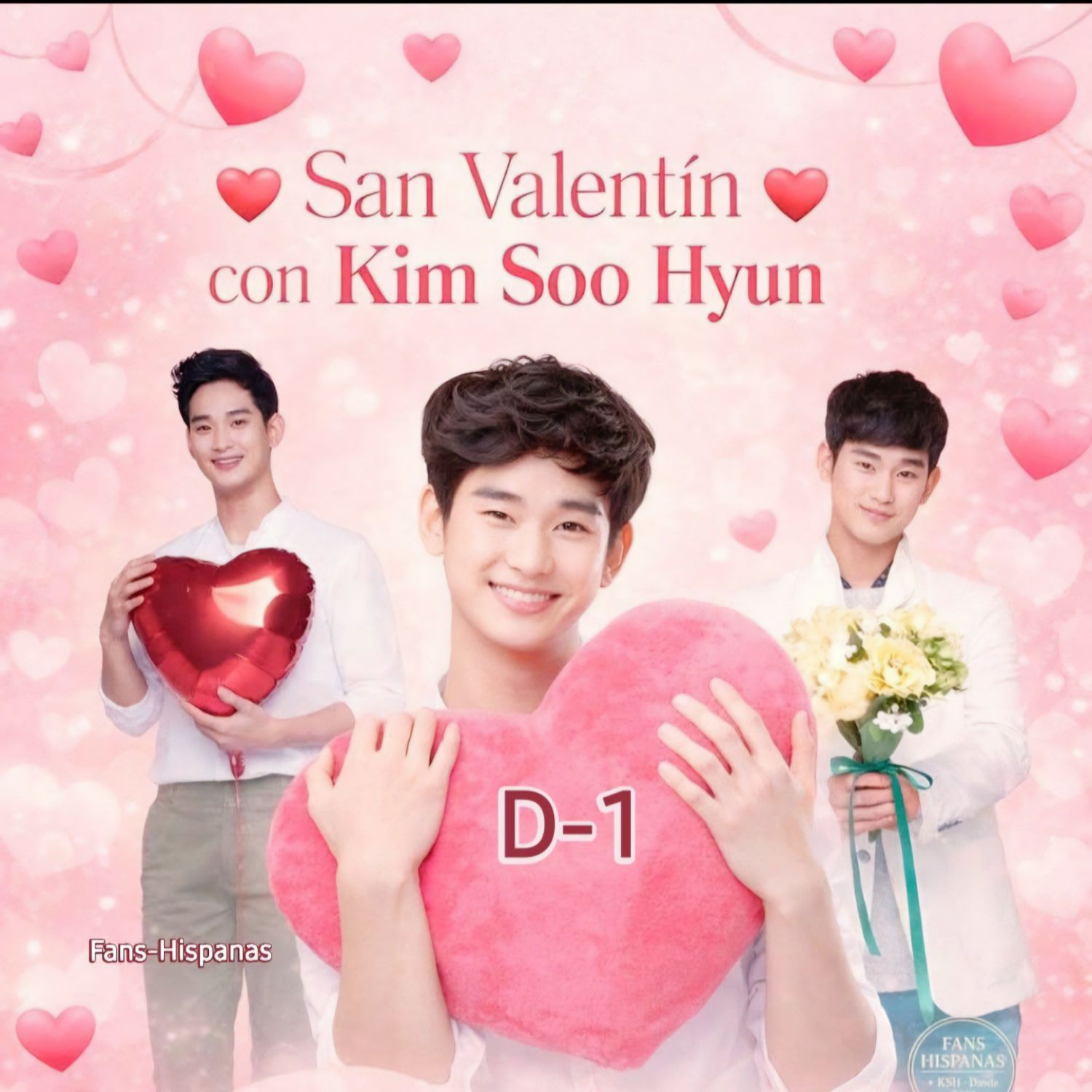 A moment captured by a fan of Kim Soohyun