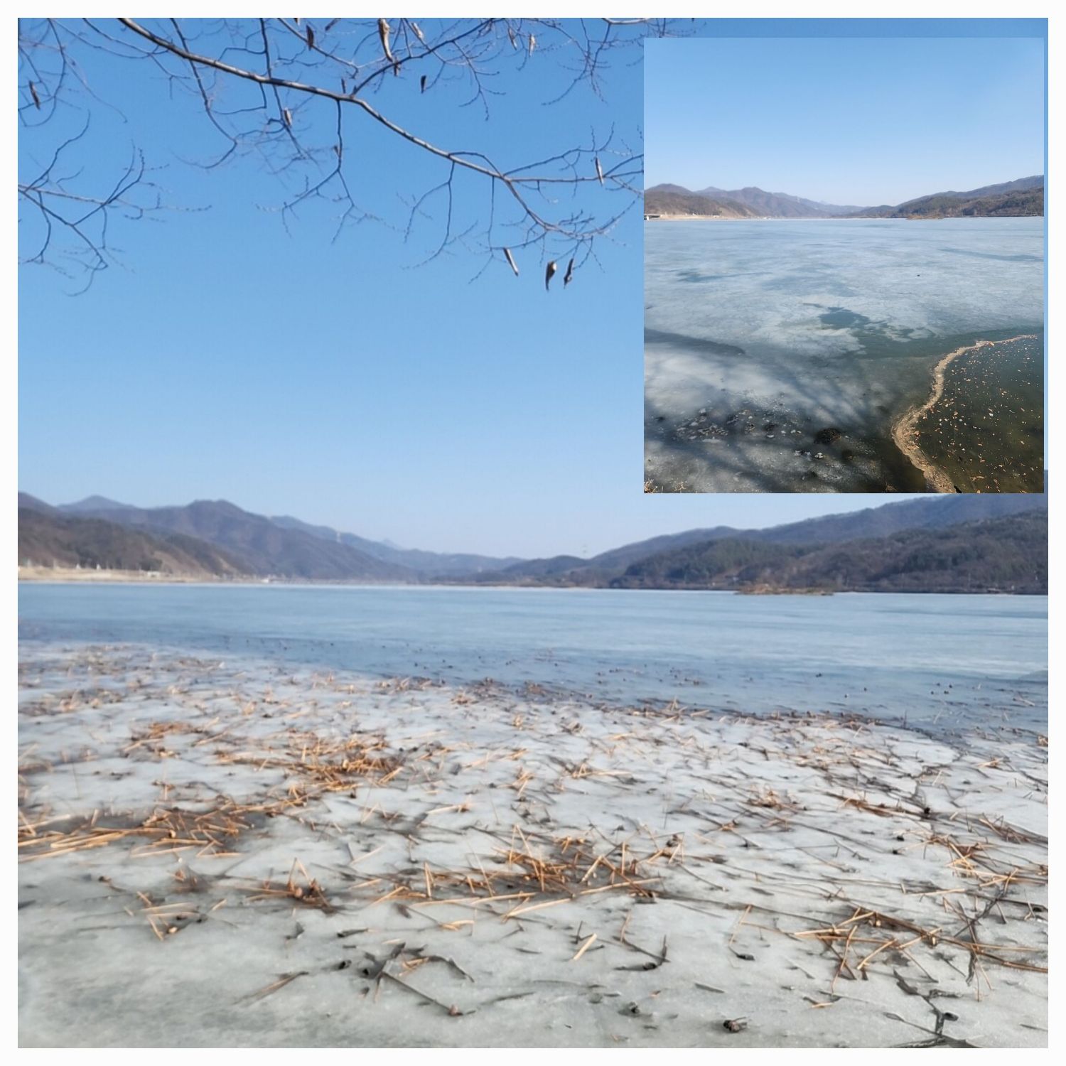 晋海成的最新照片