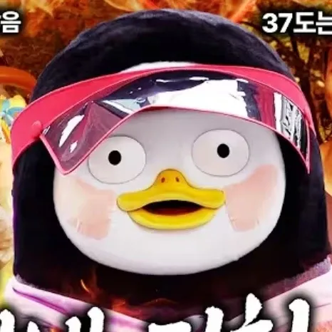 ペンスの最新写真
