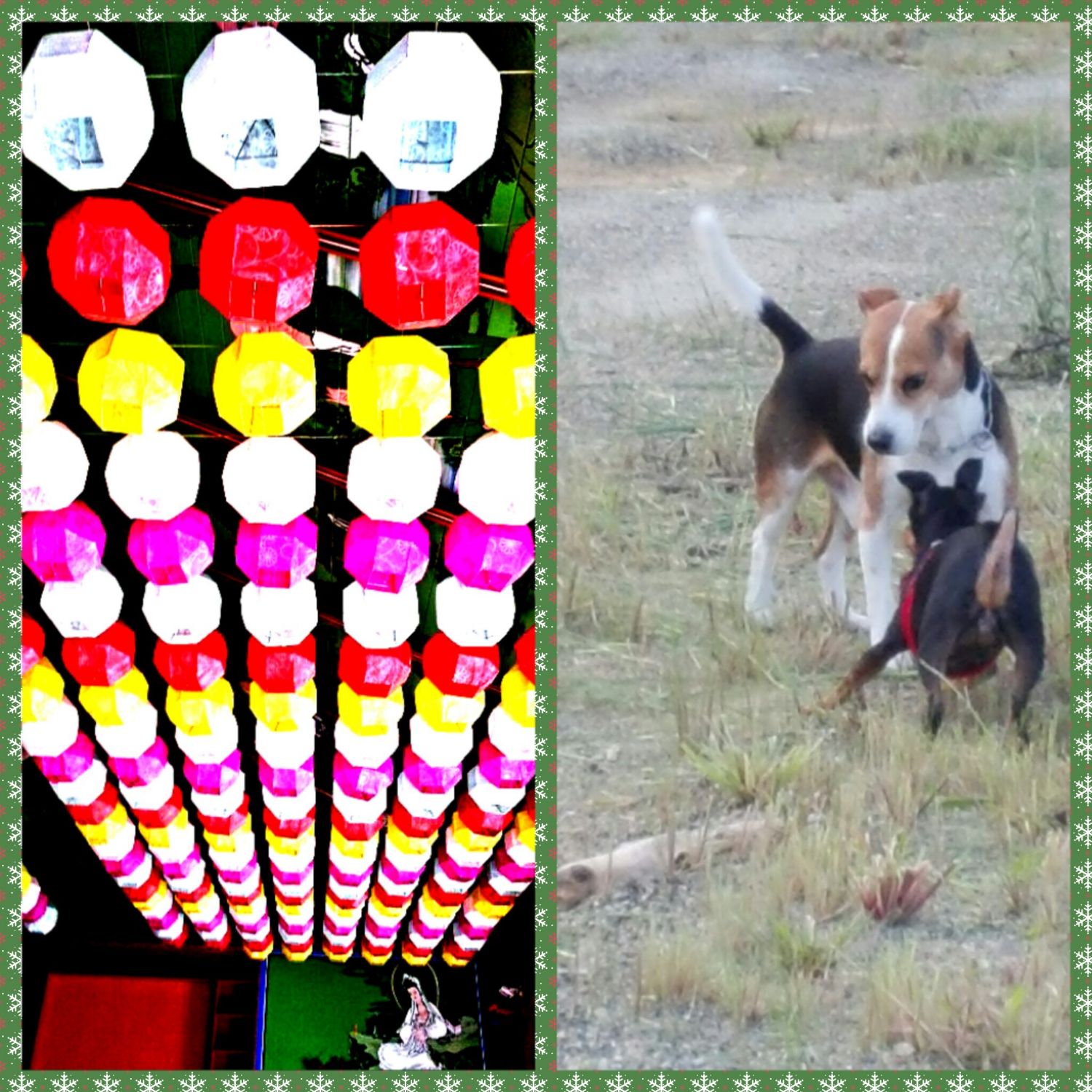 박서진의 최신 사진