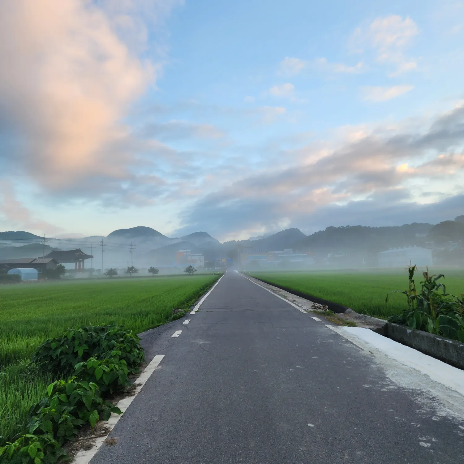 金浩中的幕后花絮