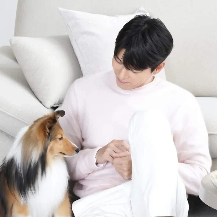 현빈 팬이 찍은 순간