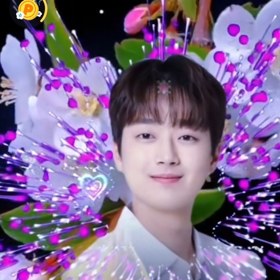 李灿元的近期活动照