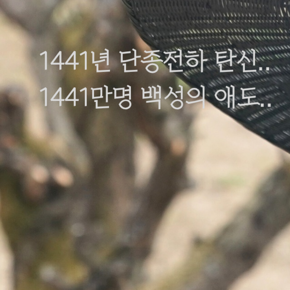 粉絲拍下的朴志訓瞬間