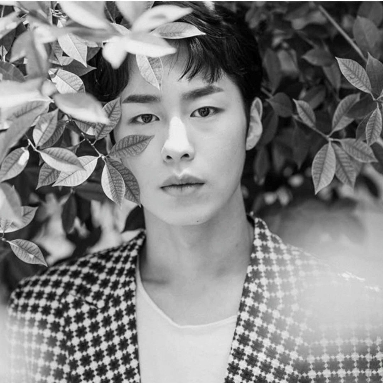 Recent activity shot of Lee Jaewook