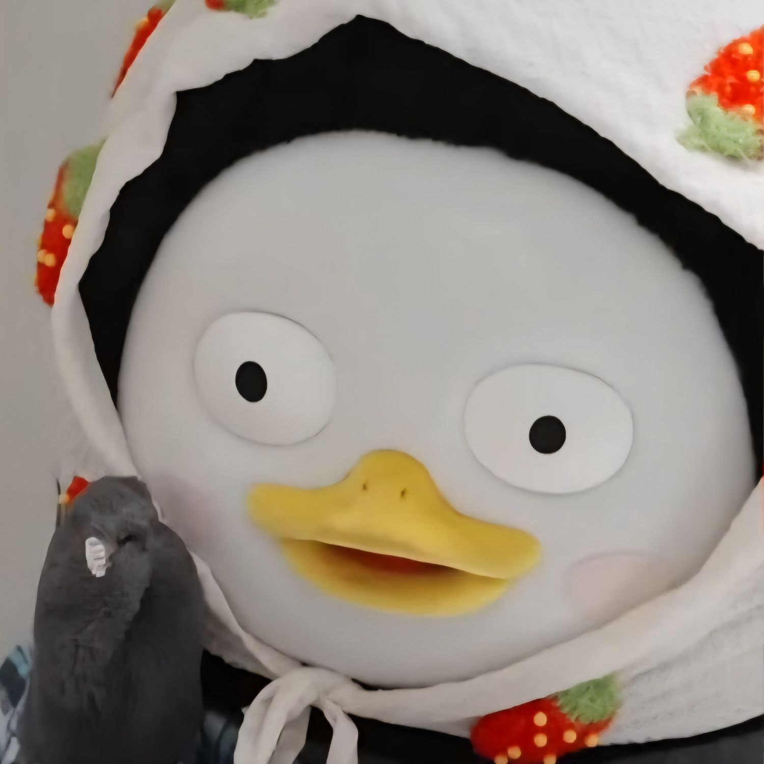 粉絲拍下的朋秀瞬間