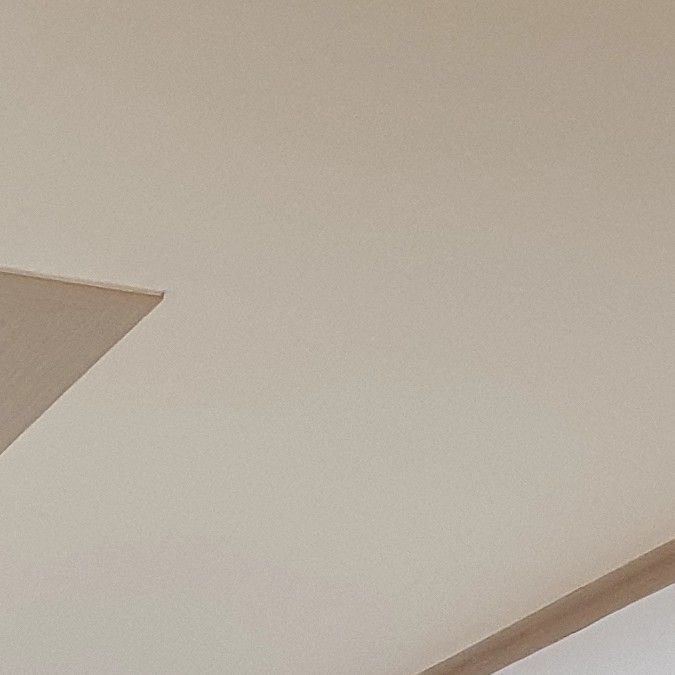 金浩中的最新照片