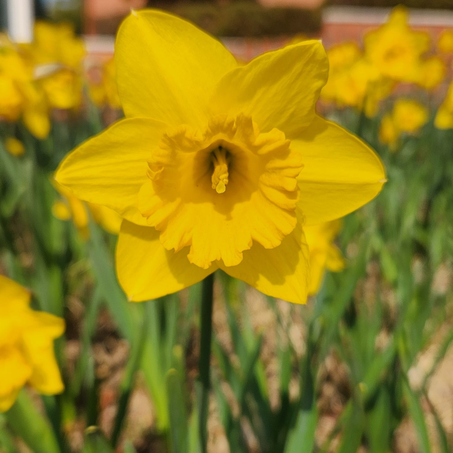 パク・ソジンの最近の活動ショット