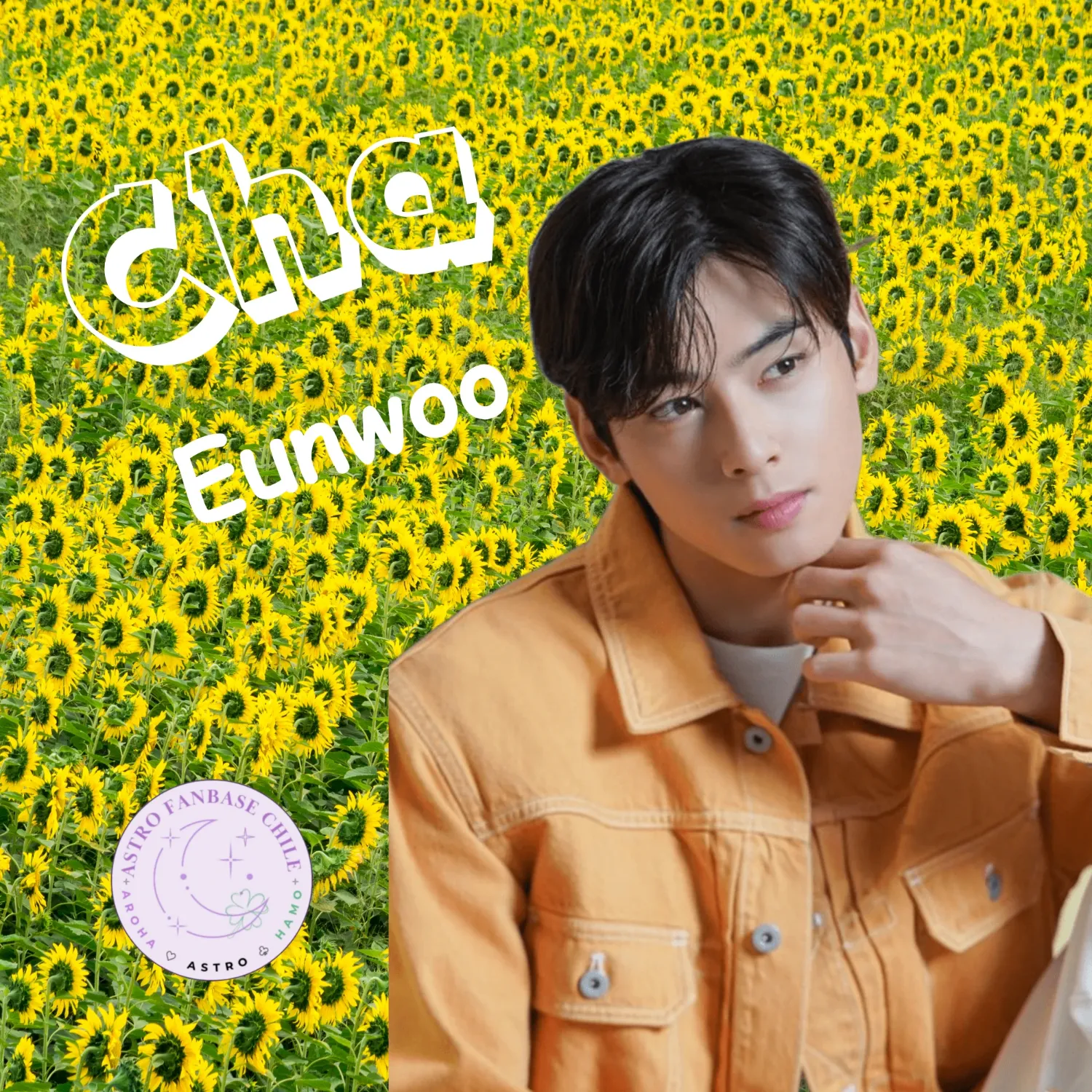 Latest photo of Cha Eunwoo