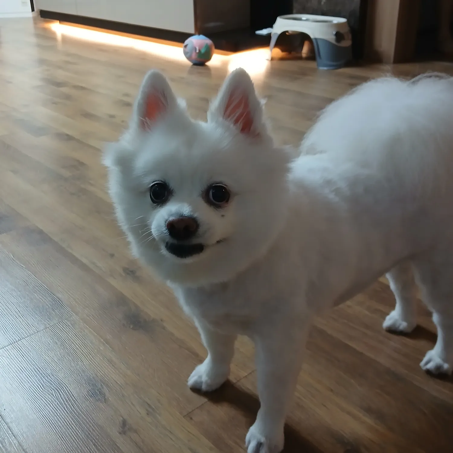 李灿元的幕后花絮