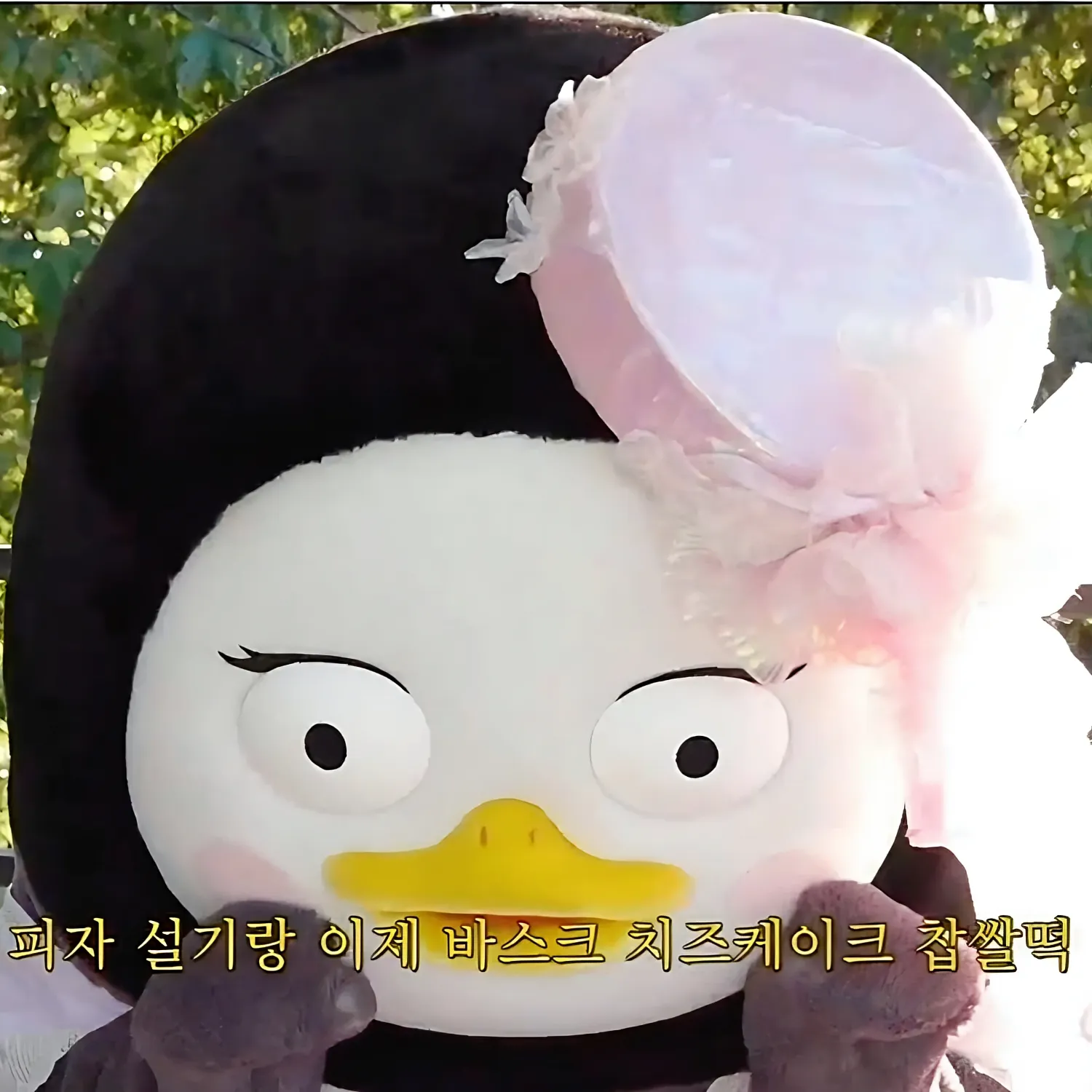 펭수의 최신 사진