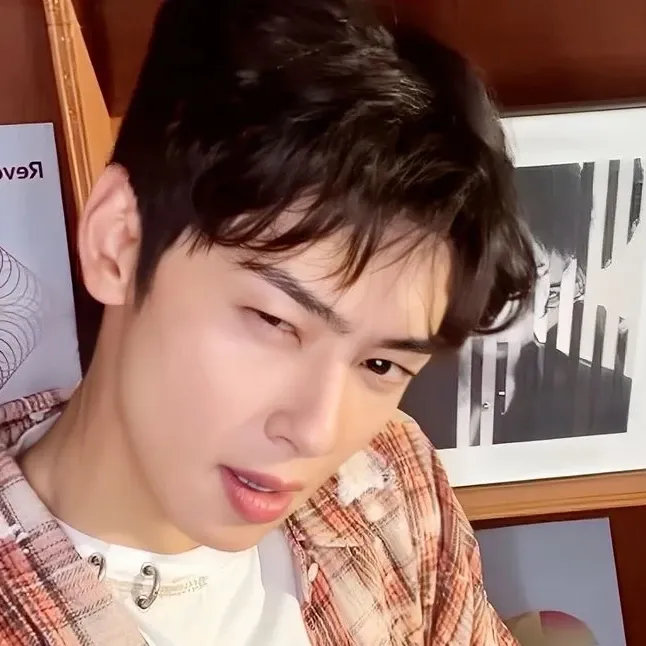 A moment captured by a fan of Cha Eunwoo