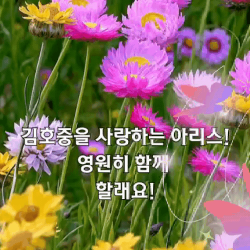 金浩中的近期活动照