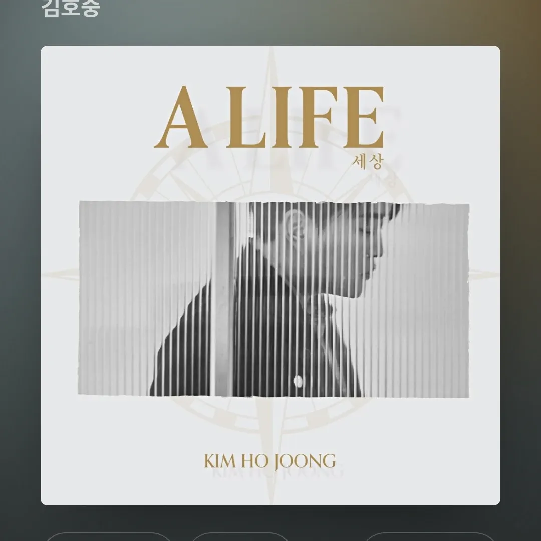 ファンが撮影したキム・ホジュンの瞬間