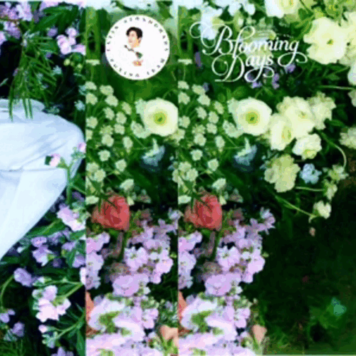 Behind-the-scenes cut of Kim Seonho