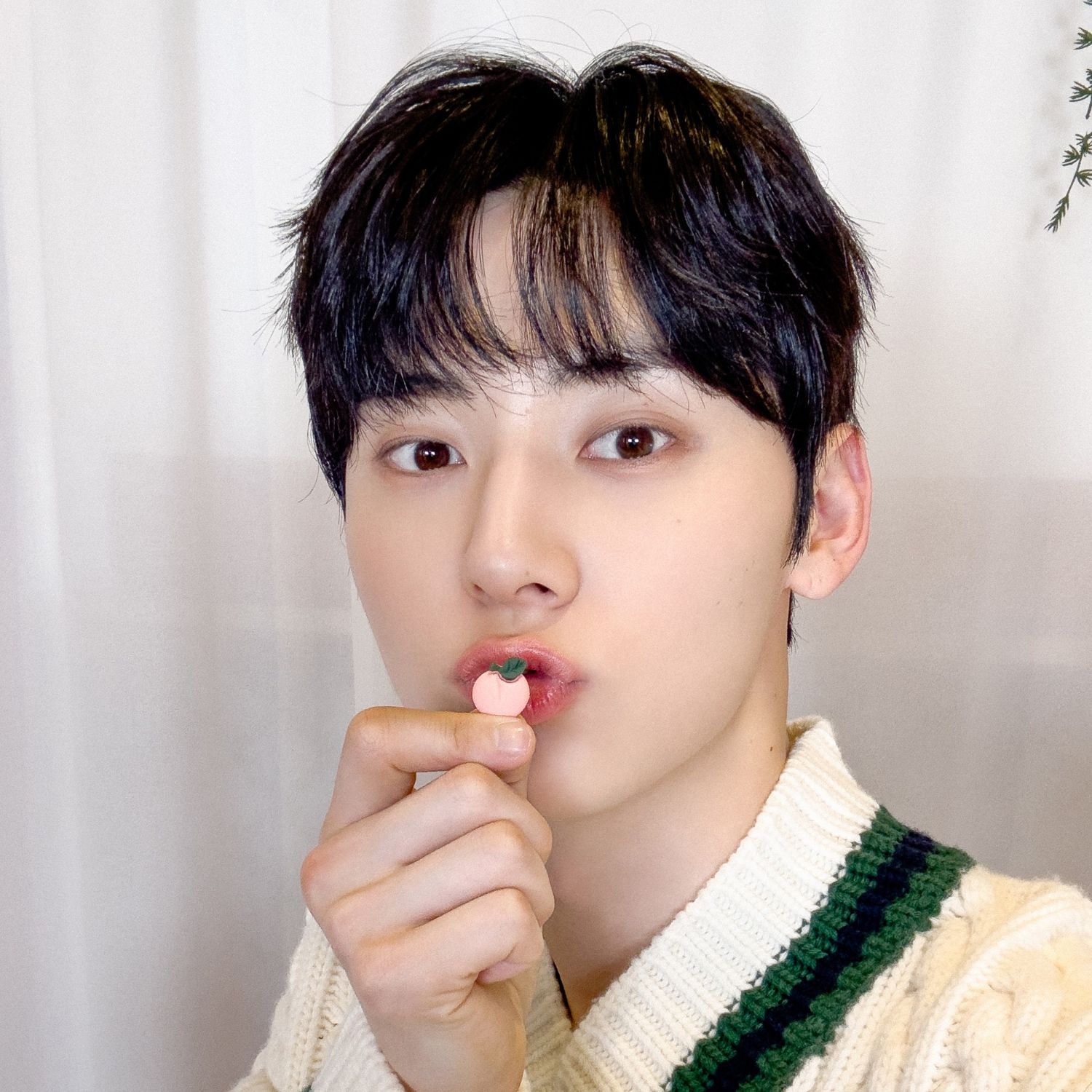 황민현 최근 활동샷