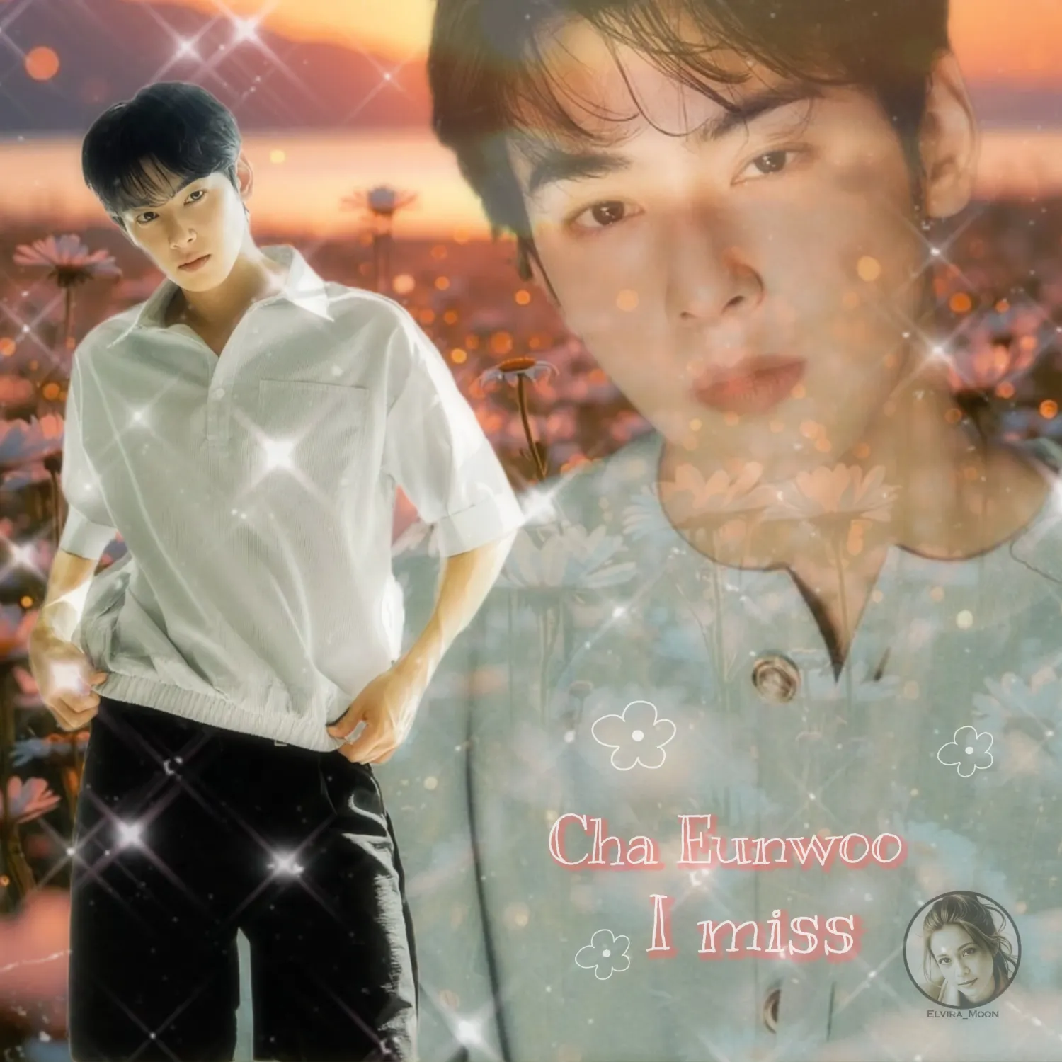 A moment captured by a fan of Cha Eunwoo