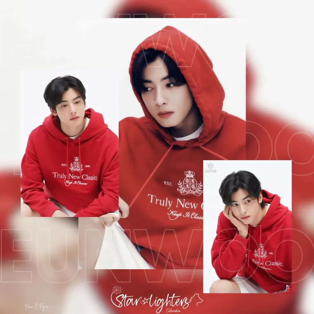 A moment captured by a fan of Cha Eunwoo