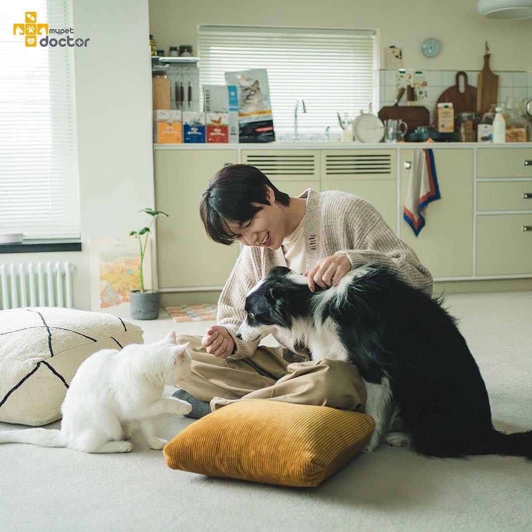 Recent activity shot of Lee Minho