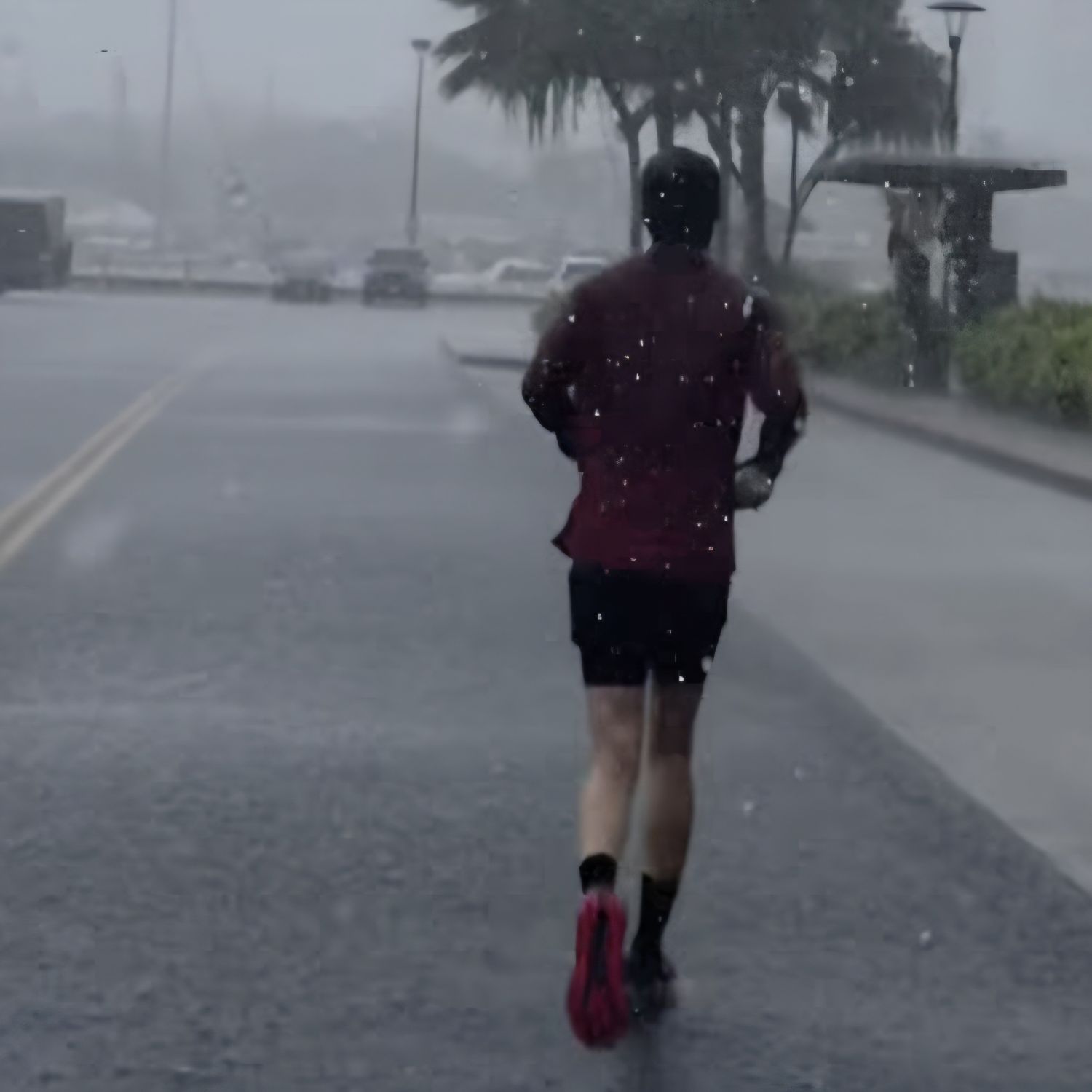 张基龙的最新照片