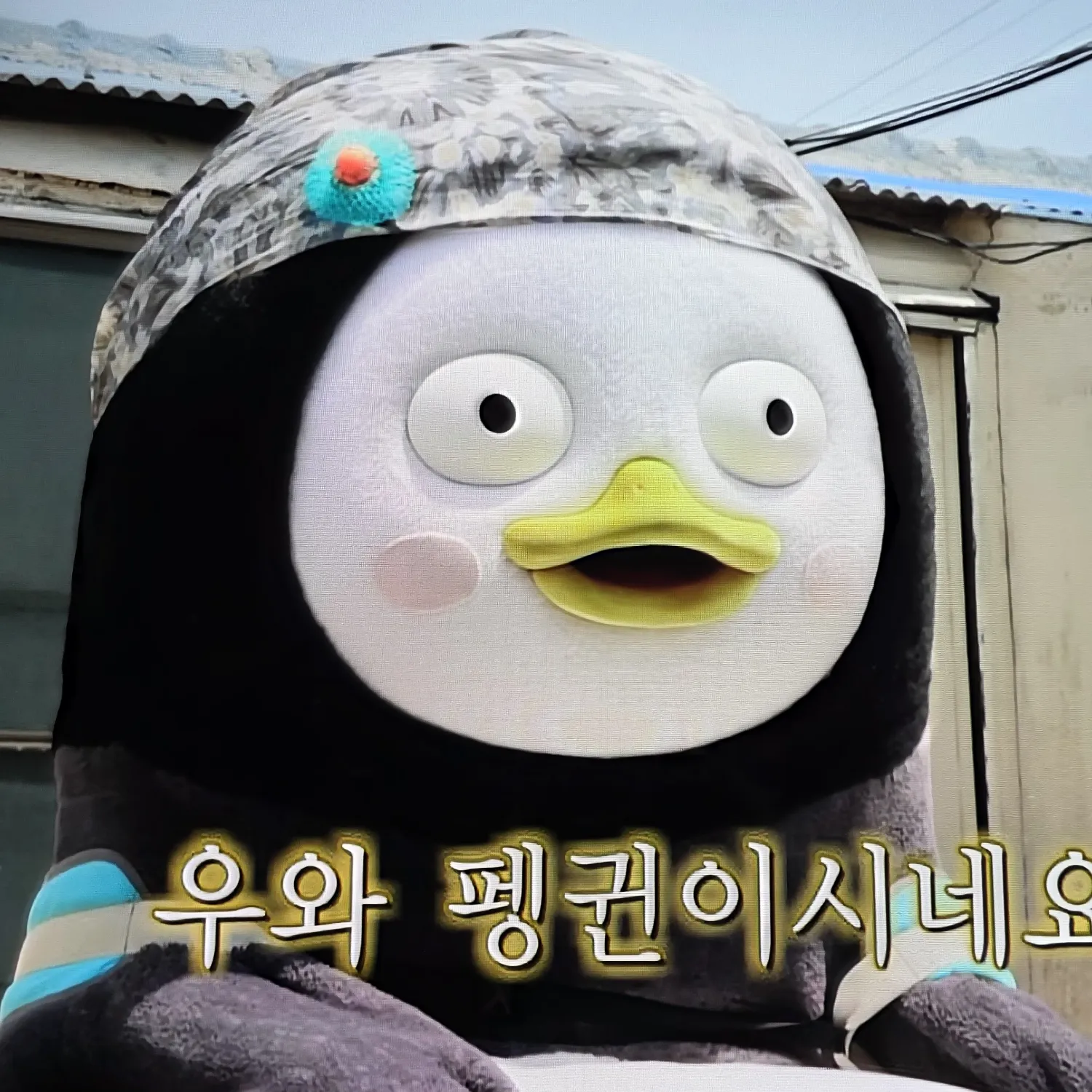 펭수 최근 활동샷