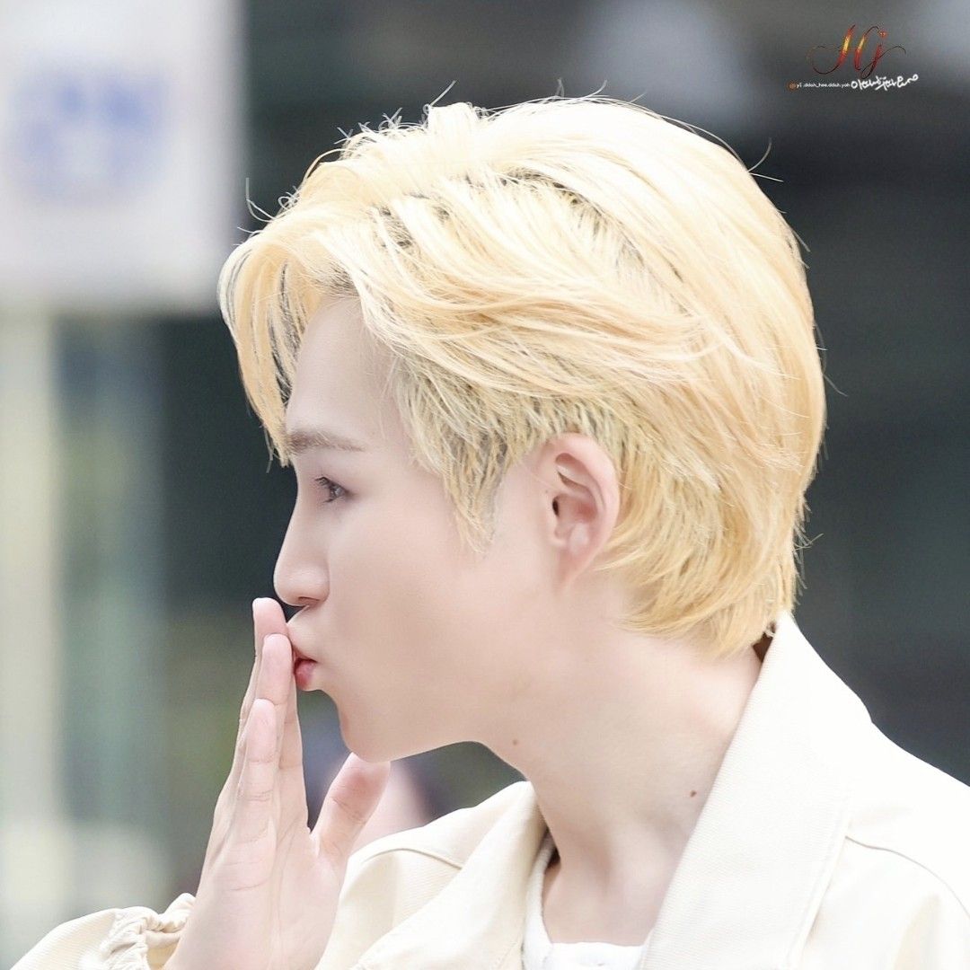 金熙栽的幕后花絮