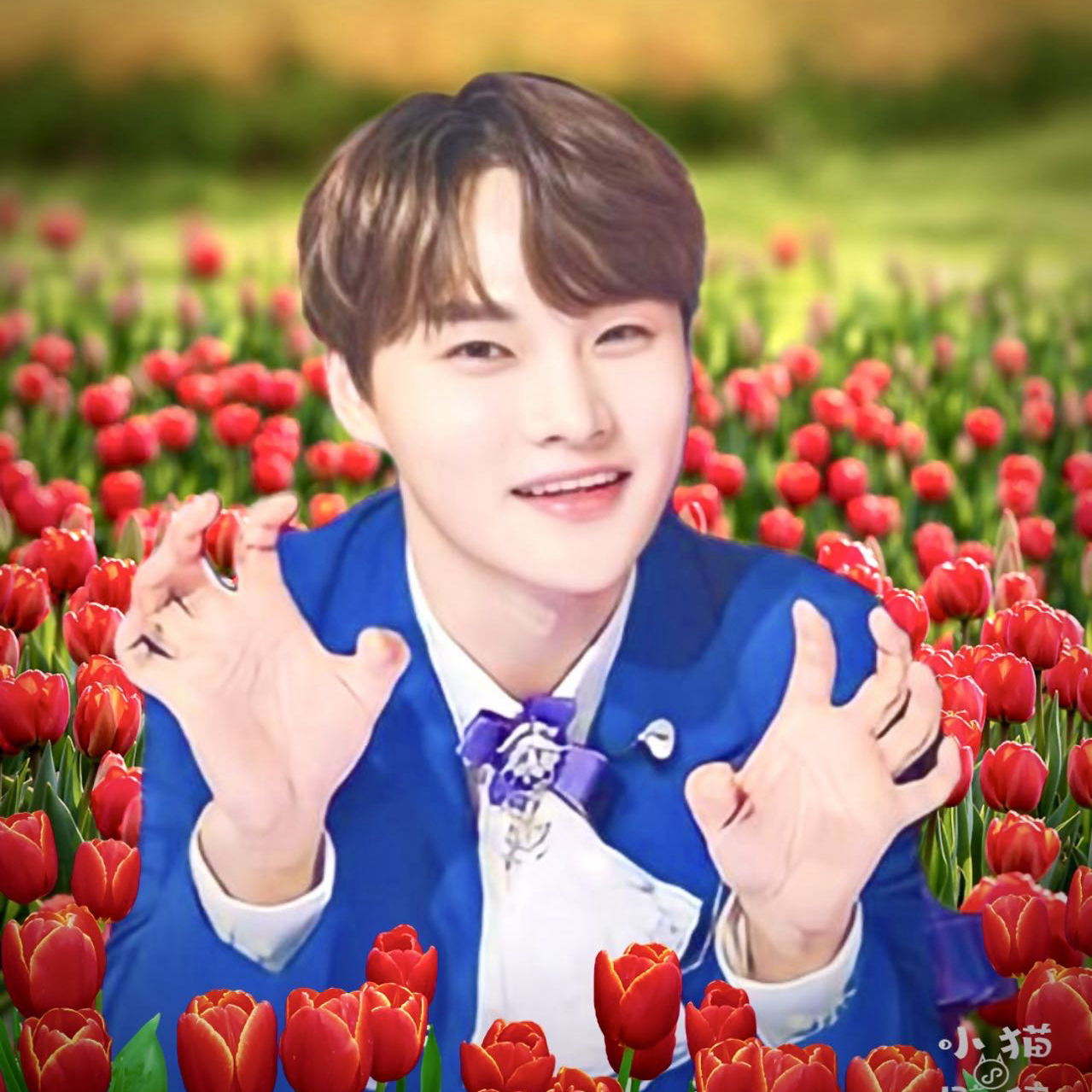 박서진 팬이 찍은 순간