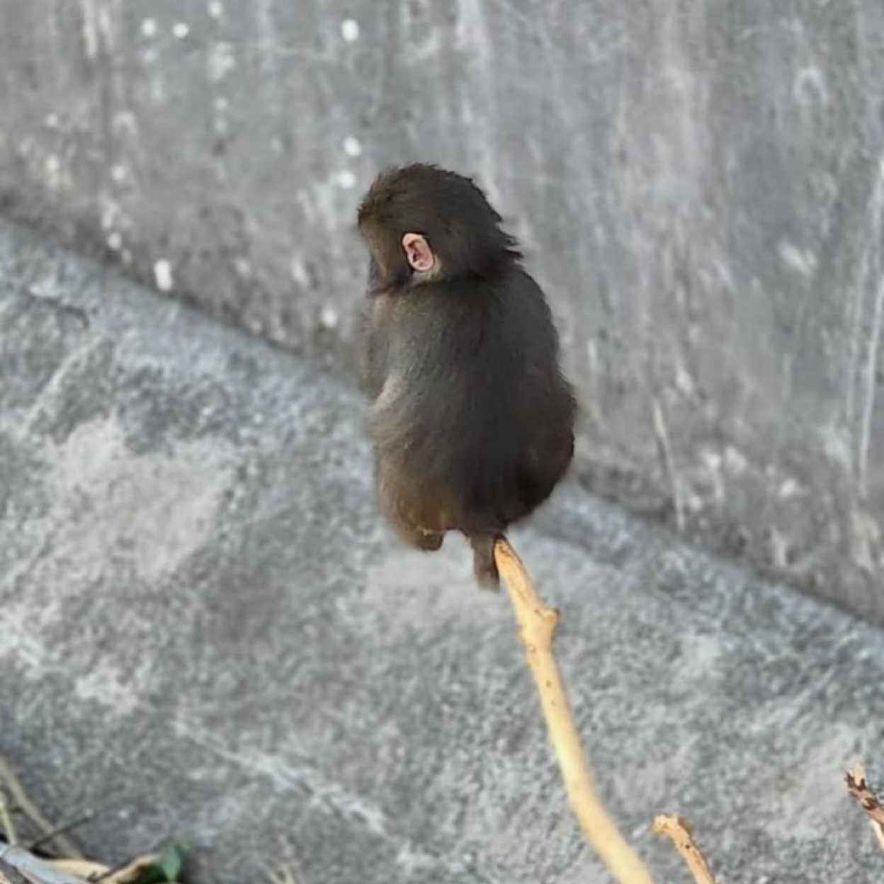 李敏镐的幕后花絮