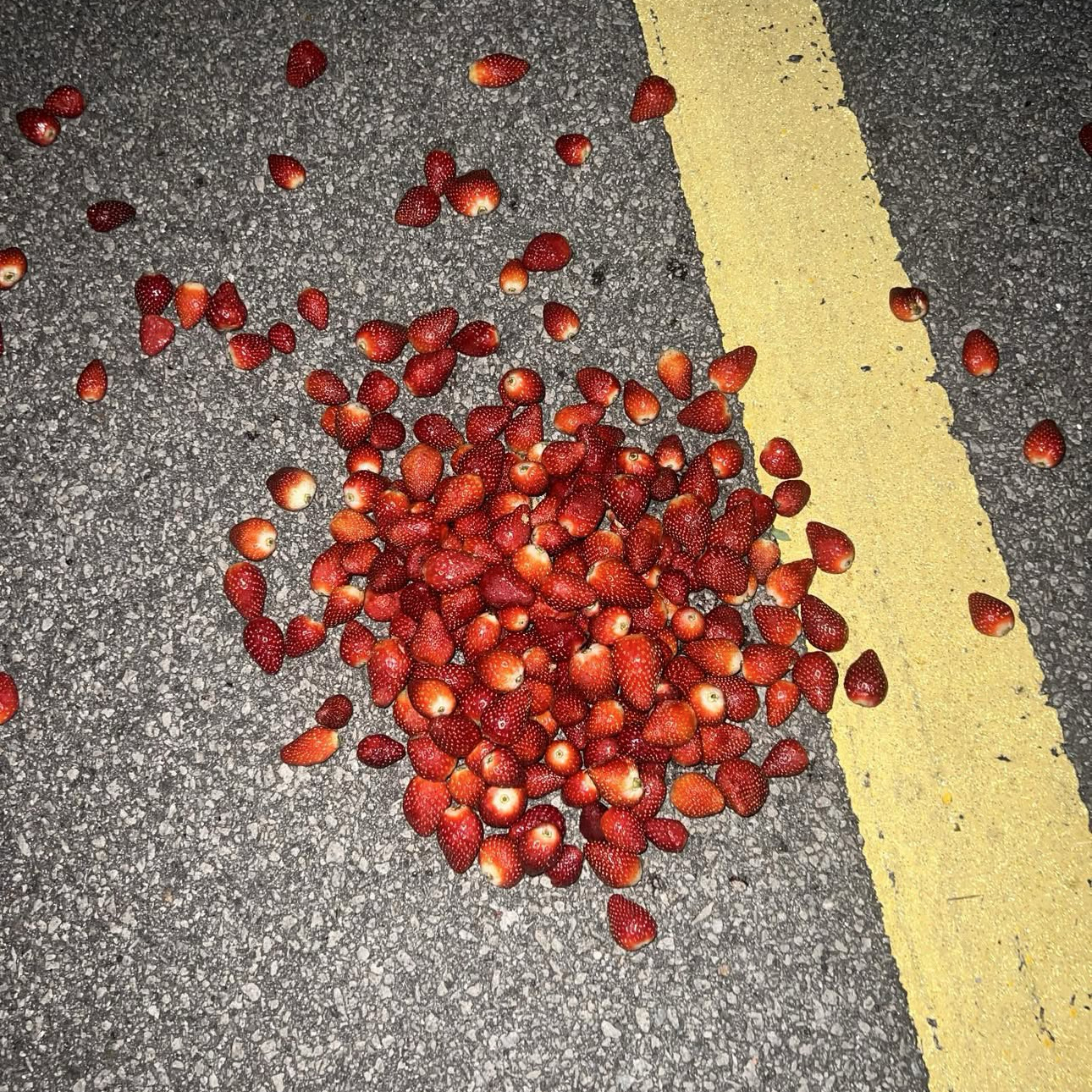 Behind-the-scenes cut of BADA